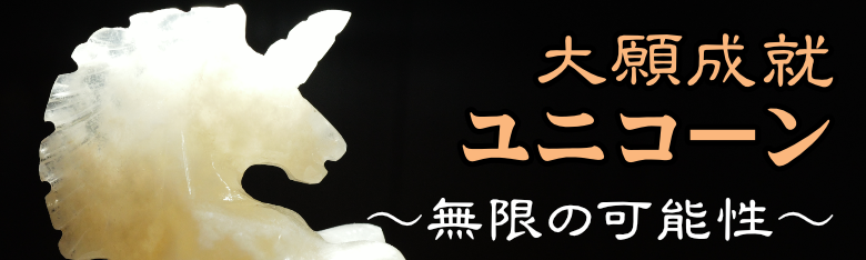 大願成就　ユニコーン　～無限の可能性～