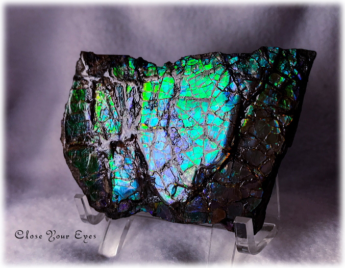 クローズアップストーン　原石　カナダのロッキー山脈産　アンモライト