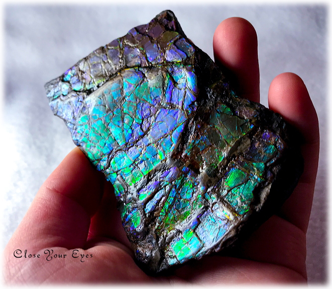 クローズアップストーン　原石　カナダのロッキー山脈産　アンモライト