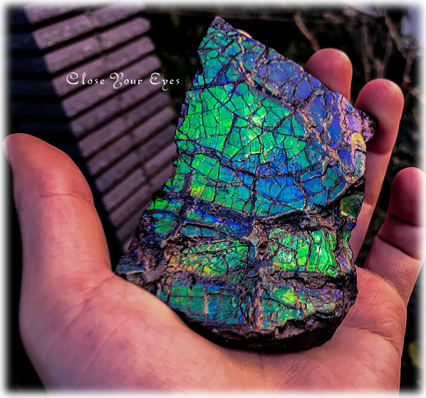 クローズアップストーン　原石　カナダのロッキー山脈産　アンモライト