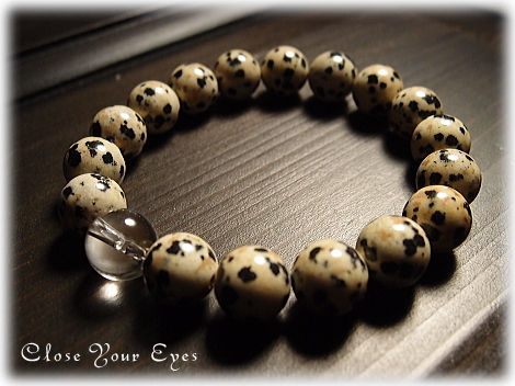 ダルメシアン・アプライト