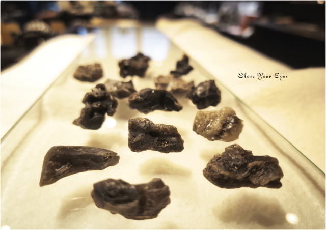 ダーウィングラス　イメージ画像