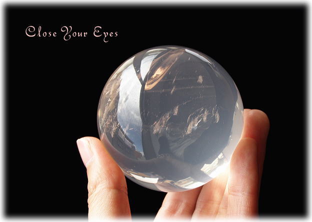 メタモルフォーゼス