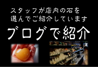 スタッフブログ新着商品へ
