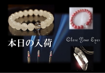 本日のＵＰ商品