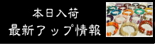 新着情報blog