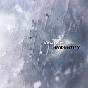 RentaroYamada「unidentity」CD
